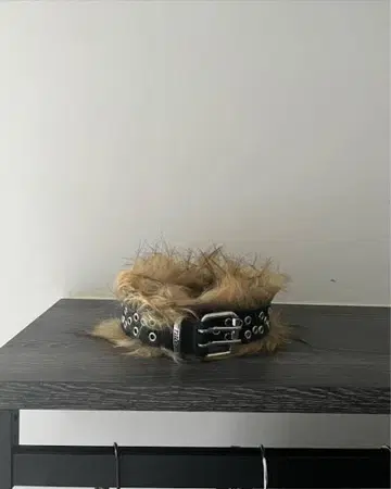 racer worldwide 퍼 벨트