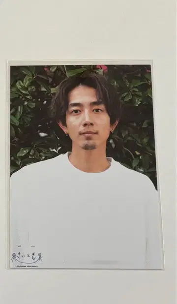 코마키네 아오타 팬미팅 한정판 브로마이드