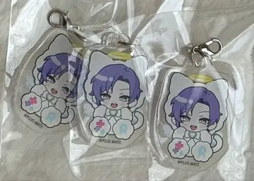 PLUSMATE 플러스메이트 스텔라워스 POPUP 호조 렌