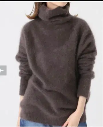 배송비 포함 IENA 라쿤 터틀넥