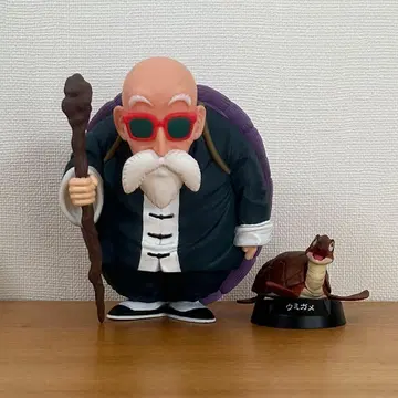 무천도사 바다거북