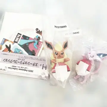 2023 포켓몬 컬렉션 키트