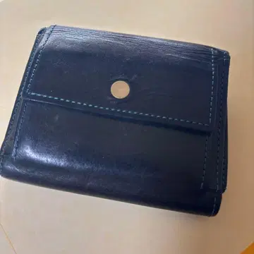 lemma recta 렌마 레크타