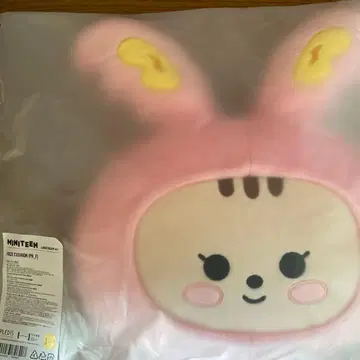 seventeen miniteen 정한 쿠션