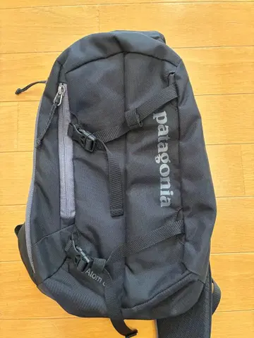patagonia Atom 바디백 블랙