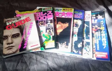 주간 공가 증간 여자 프로레슬링 관련호