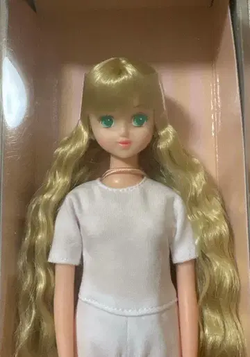 리카짱 캐슬 제니 프렌드 T 티모테 오타노시미 인형