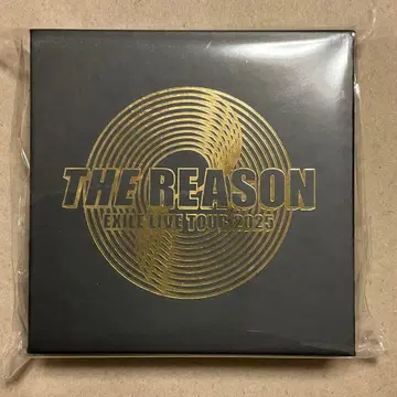 EXILE THE REASON TETSUYA 멘프로 목걸이