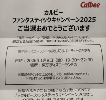 도쿄 디즈니랜드 대관 티켓 2인분