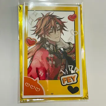 오토메이트 AGF 아크릴 카드 페이