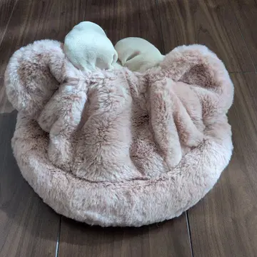 디즈니씨 한정판 셰리메이 모자