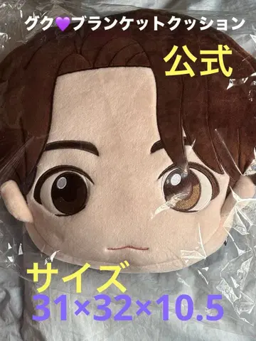 정국 쿠션 담요