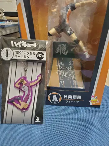 하이큐!! 히나타 쇼요 피규어 & 키링