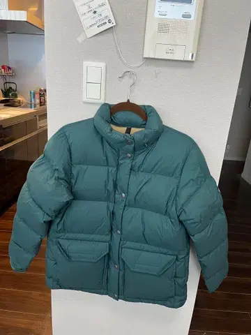 THE NORTH FACE 모스그린 다운 자켓