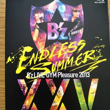B'z/B'z LIVE-GYM Pleasure 2013 ENDLESS -