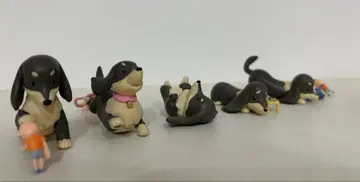 자이언트 닥스훈트 세트