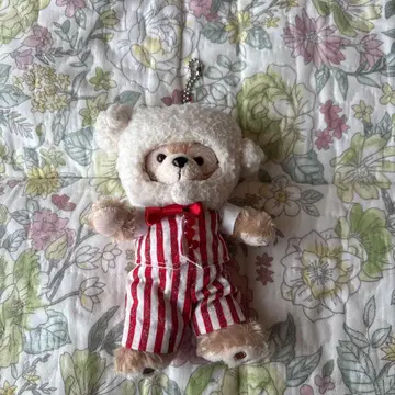 아라시 팝콘 누이바 더피