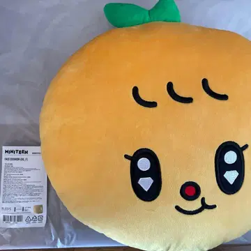 seventeen miniteen 승관