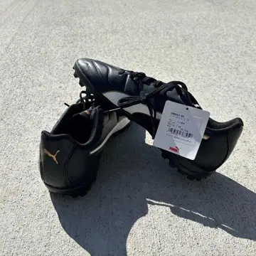 PUMA 클래시코 C I I T T