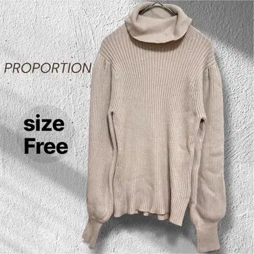 프로포션 볼륨 소매 터틀넥 리브 니트 그레이지