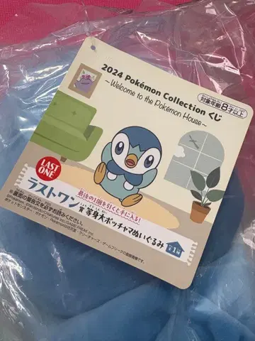 포켓몬 팽도리 라스트 원상