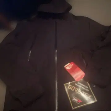 THE NORTH FACE GORE-TEX 풀 지퍼 자켓 후드티