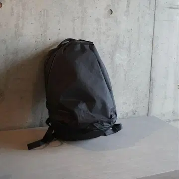 able carry daily plus