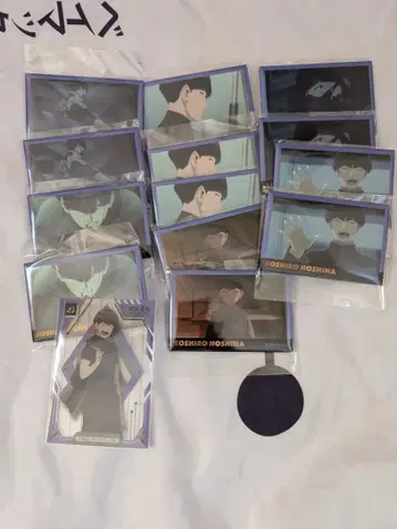 호시나 소우시로