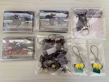 타이틀 홀더 카드 키링