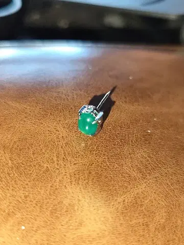 정리품 WG? 귀걸이?