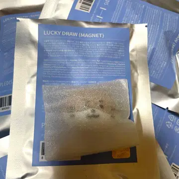 SEVENTEEN MINITEEN 디노 라키도 마그넷