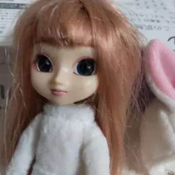 리틀 풀립*로트