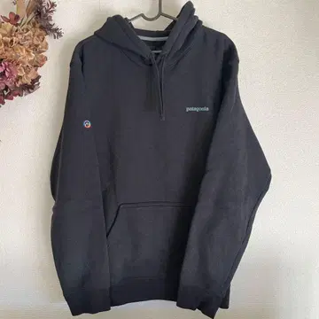 patagonia 피츠로이 아이콘 업라이저 후디