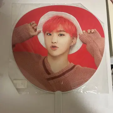 SEVENTEEN HOSHI 캐럿 캠프 부채