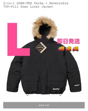 GORE-TEX 2-in-1 후드티 L 사이즈