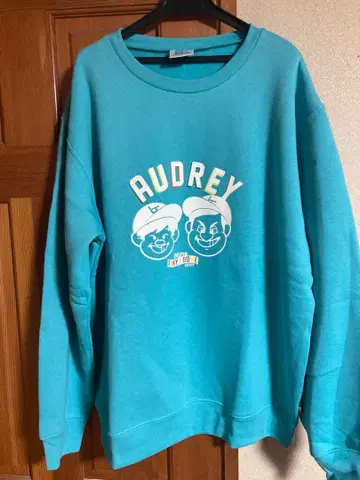 새상품 오드리  올나이트닛폰 in 도쿄돔 ] 후드티