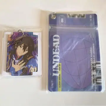 사쿠마 레이 러기지 참