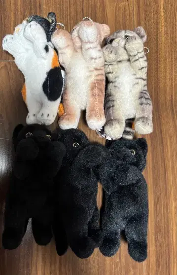 터치 zoo 냥코 미니 6체와 고양이 인형 3체