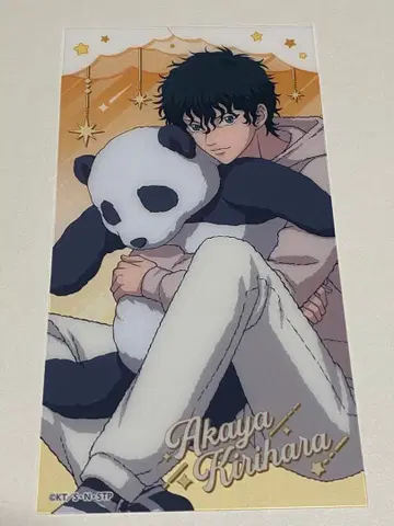 신 테니스의 왕자님 신테니 테니프리 돈키 파자마 밤 쿠리하라