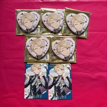 나루카미 아라시 스타포니 캔뱃지 카드