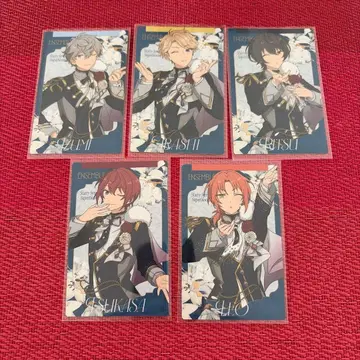 앙스타 스타포니 카드 컬렉션 Knights