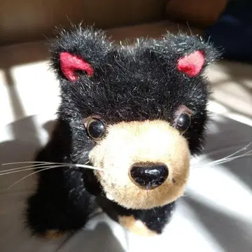 태즈메이니아 데빌 봉제 인형