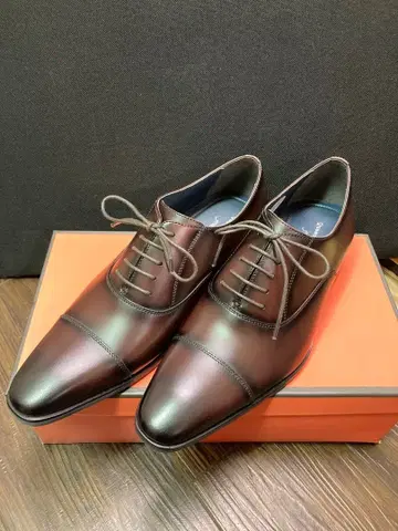 퀸 클래시코 그린 라벨 DBR39 (24.5cm ~ 25cm)