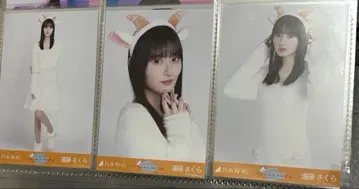 엔도 사쿠라 곤조 머리띠 브로마이드 컴프 노기자카46