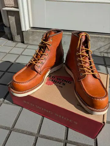 레드윙 875 오로 레거시 박스 포함