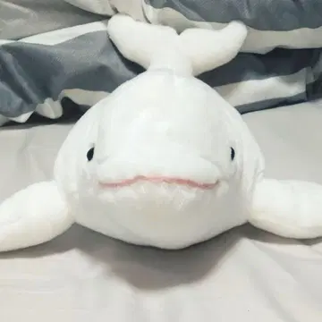 [ 와일드 리퍼블릭 ] 봉제 인형 벨루가