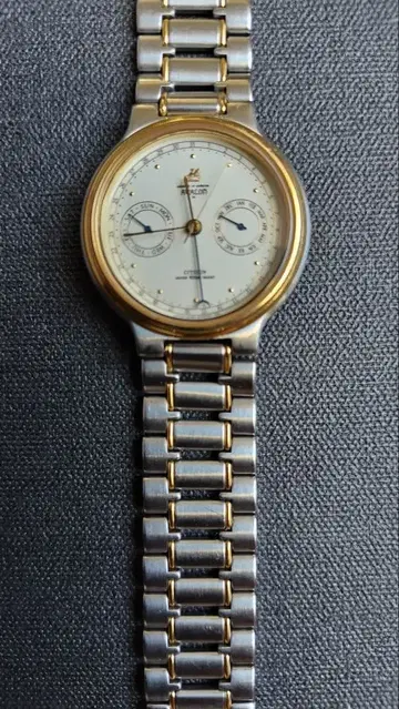 시티즌 트리플 캘린더 6침