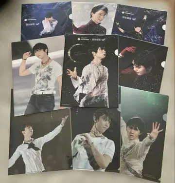 하뉴 유즈루 니시카와 클리어 파일 9장