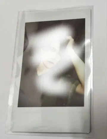 야자와 모토하루 씨 폴라로이드