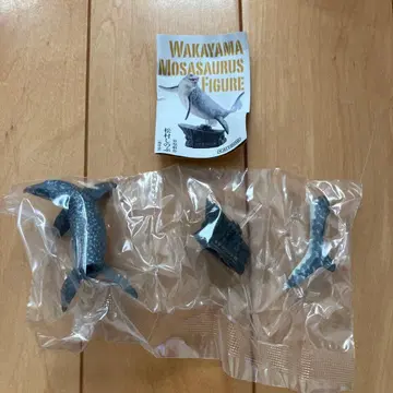 미개봉 새상품 카이요도 모사사우루스 와카야마현립박물관 피규어